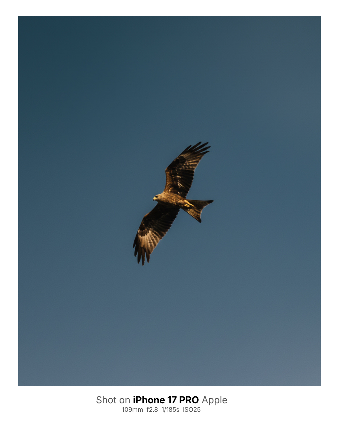 featured listing image